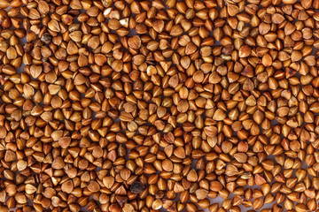 buckwheat. fresh buckwheat. dry buckwheat background. buckwheat texture