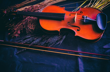 The abstract art design background of  violin put beside dried flower,on grunge surface...