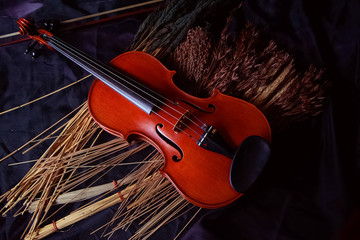 The wooden violin put beside dried flower,on grunge surface background,vintage and art tone