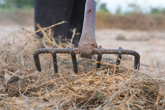 Farmer are using grass rake in agricultural plot close-up.