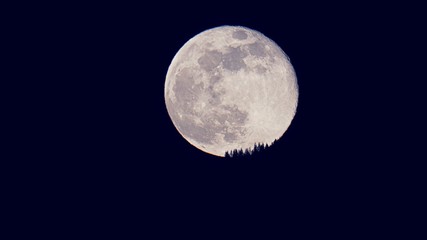 fullmoon over the mountains with tree silhouettes