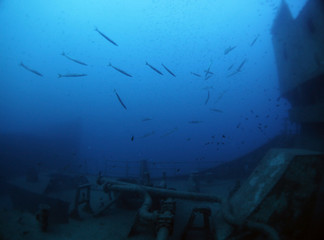 Scuba Diving Malta Gozo Comino