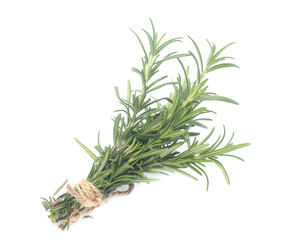 rosemary isolated on white background