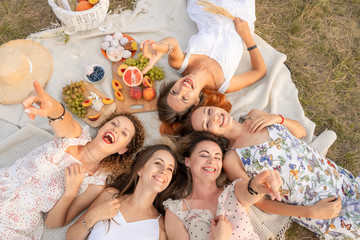 View from above. Company of beautiful girlfriends have fun and enjoy a picnic outdoors.