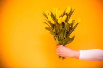 Bouquet of yellow tulips in a hand on a bright yellow background. Greeting card, concept with copy space.