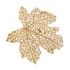 artificial plastic skeleton of leaf isolated