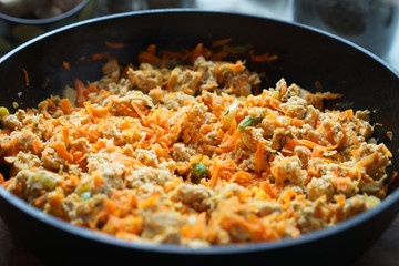 Cooking at home kitchen chicken meat side dish. Cook fry minced meat with vegetables.