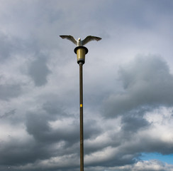 Seagull landing on streetlamp, dark cloudy storm clouds background