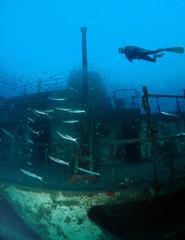 Scuba Diving Malta Gozo Comino