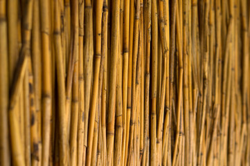 Wall texture of cattail, reed wall, natural texture.