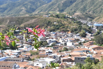 Naklejka premium FLORES DE COLORES NATURALEZA VERDE 