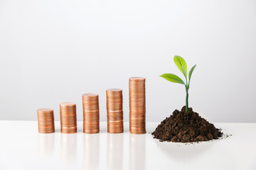 Fototapeta na wymiar Saving money, business growth or investment concept. Stacks of money coins and green plant