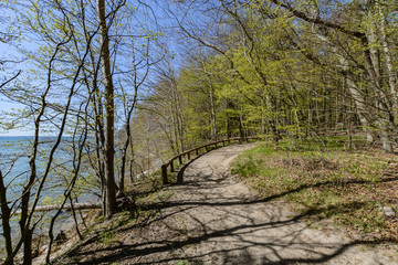 Rad- Wanderweg in der Goor, Lauterbach auf R&uuml;gen