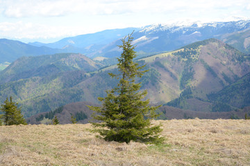 Donovaly, Slovakia - May 10, 2019:  Beautiful view from the top of the mountains in the late spring