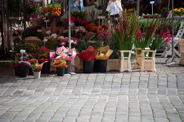 Vendita di fiori e piante in un mercato cittadino  a Norimberga