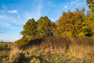 autumn landscape with trees and clouds