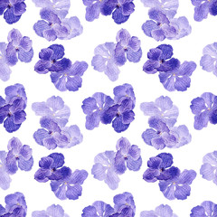 Hand drawn watercolor illustrations of Orchid isolated on white background. Seamless pattern with colorful vanda flowerы.