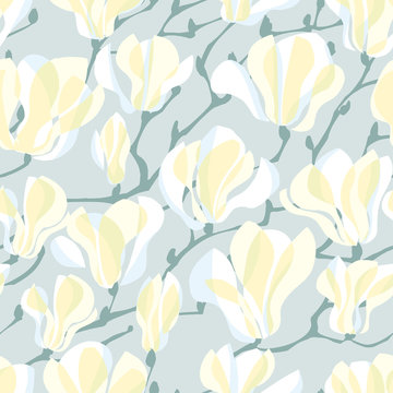 Tender colors elegant white magnolia flower blossom