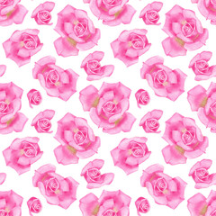 Watercolor of roses. Stock illustration with pink flowers. Botanical  seamless pattern isolated on white.