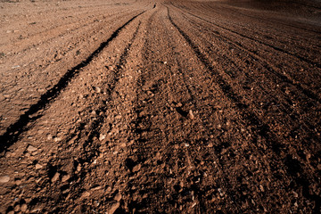 detail of some furrows in a land ready to be sown