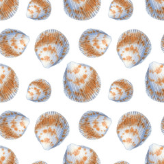 Marine seamless patern of sea shells. Watercolor illustration for textile, greeting cards,