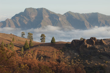The Nublo Rural Park and Tamadaba massif in the background. Gran Canaria. Canary Islands. Spain.