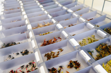 Trout flies on sale at a tackle shop.