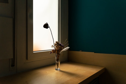 Withered flowers in a vase at the window