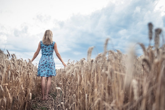 Back view of barefoot woman standing in a wheat field