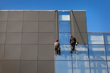 Two workers cleaning glass facade, hanging on rope like alpinist