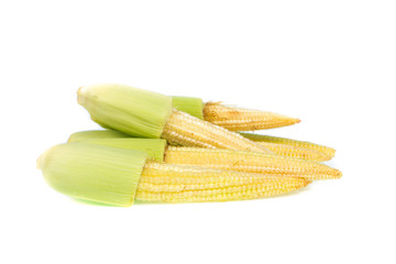 baby corn isolated on white background
