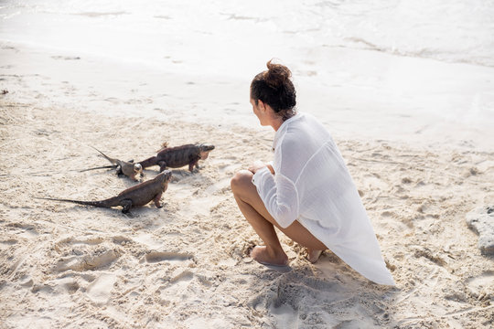 Woman feeding iguanas on beach on Allen Cay, Bahamas, Caribbean