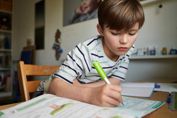 Portrait of boy doing homework