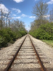 Fototapeta na wymiar Train Tracks Going Straight Back Into Woods