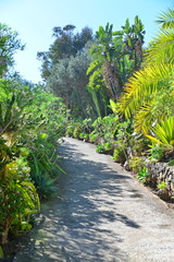 Teneriffa,#0708