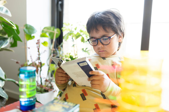 Portrait of little boy reading comic at home