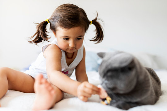 Little girl sitting on bed playing with cat