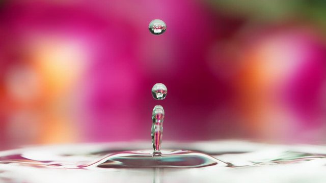 Super Slow Motion Shot of Colorful Floral Background with Droplet Falling into Water at 1000 fps.