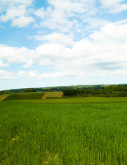 Hills and fields of Wiezyca Kashubia region, Poland. Travel and nature concept.