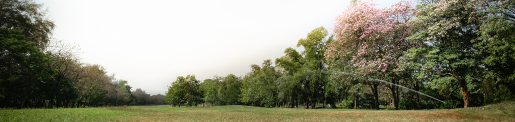 Fototapeta na wymiar Beautiful nature view of green park on blurred greenery background with copy space using as background natural landscape, ecology, fresh cover page concept.