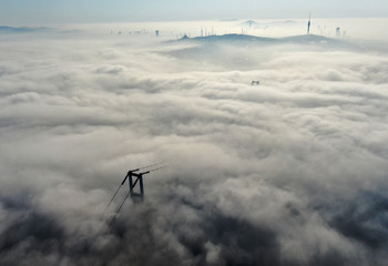 Fog
