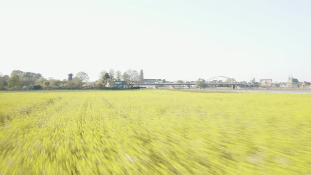 Drone flying over a field full of rapeseed for eco-fuel production
