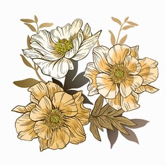 Floral elements for design. Vector illustration isolated on a white background.