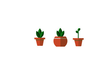 plantes en pot