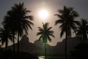 Obraz premium Sun setting over palm trees near Lagoa and Dois Irmaos in Rio de Janeiro