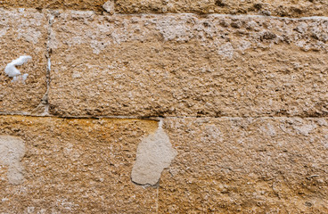 stone wall texture