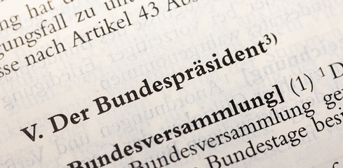 Bundespräsident im Grundgesetz