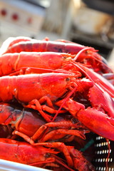 ボイルしたロブスター、リゾートホテルのガーデンバーベキュー