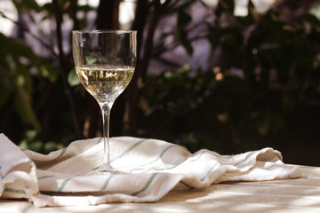 glass of white Italian wine in the garden close up 