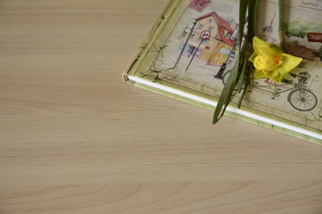 
On the table is a book and a spring flower of yellow daffodil.